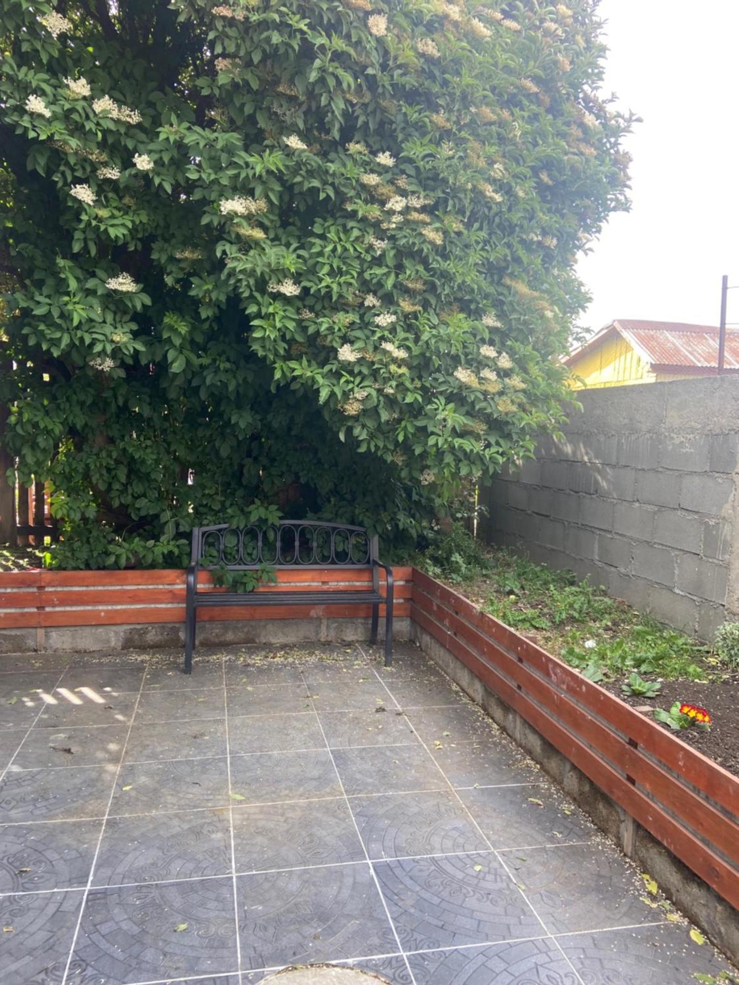 Cabanas Bosque Austral Punta Arenas Eksteriør billede