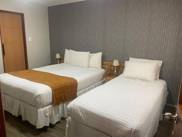 Cabanas Bosque Austral Punta Arenas Eksteriør billede